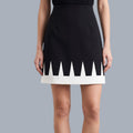 Double Layer Pleated Mini Skirt